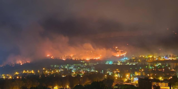 حزب اللہ کے میزائلوں سے صیہونی ریاست کے جنگلات میں آگ بھڑک اٹھی