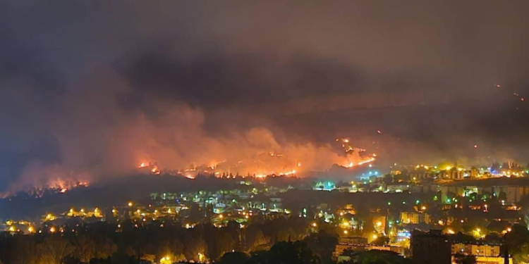 حزب اللہ کے میزائلوں سے صیہونی ریاست کے جنگلات میں آگ بھڑک اٹھی