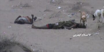 اسرائیلی دہشتگردی میں شہید فلسطینیوں کی لاشیں آوارہ کتے کھارہے ہیں، سی سی این