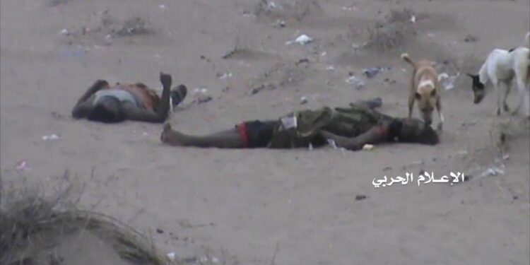 اسرائیلی دہشتگردی میں شہید فلسطینیوں کی لاشیں آوارہ کتے کھارہے ہیں، سی سی این