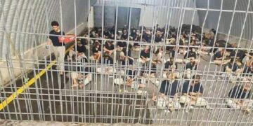 صیہونی فوج کے ہاتھوں گرفتاری سیکڑوں فلسطینی قیدی لاپتہ