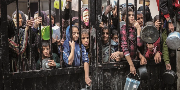 غزہ: صیہونی دشمن بھوک کو ہتھیار کے طورپر استعمال کررہا ہے