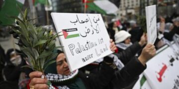 ٹرمپ کا غزہ مخالف بیان: بین الاقوامی تنظیموں کی مذمت