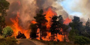 یروشلم کے پہاڑوں میں آگ  بدستور بے قابو:  شعلوں نے 24 کلو میٹر و اپنی لپیٹ میں لے لیا