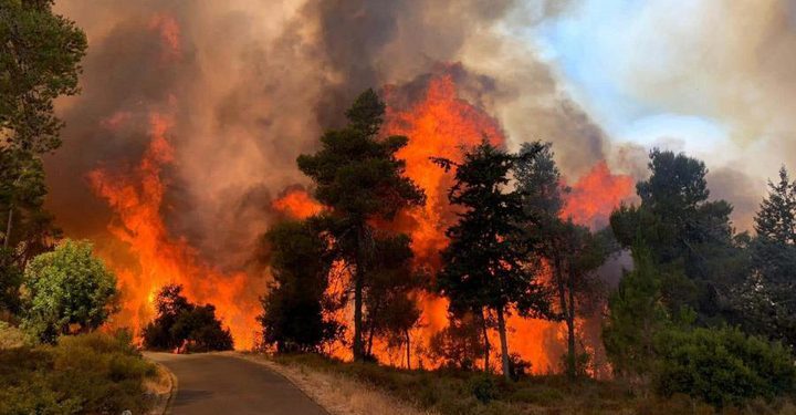 یروشلم کے پہاڑوں میں آگ  بدستور بے قابو:  شعلوں نے 24 کلو میٹر و اپنی لپیٹ میں لے لیا