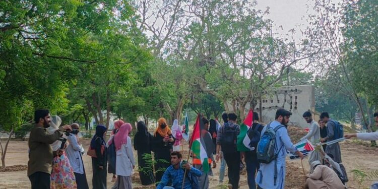 جامعہ کراچی میں یوم نکبہ کی مناسبت سے شجر کاری کی گئی
