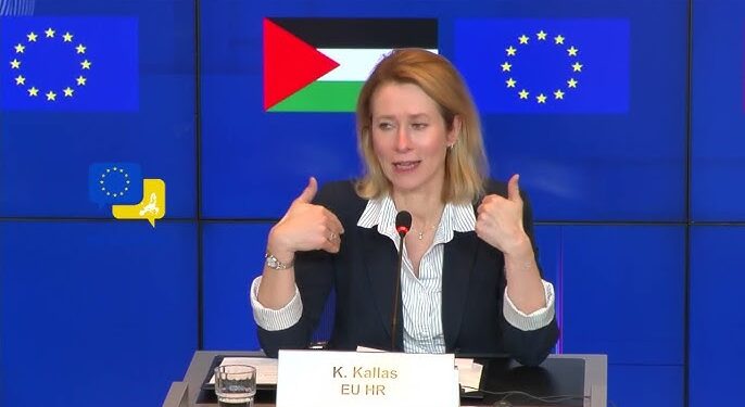 یورپی یونین کا اعتراف: غزہ میں صہیونی ریاست نسل کشی کر رہی ہے