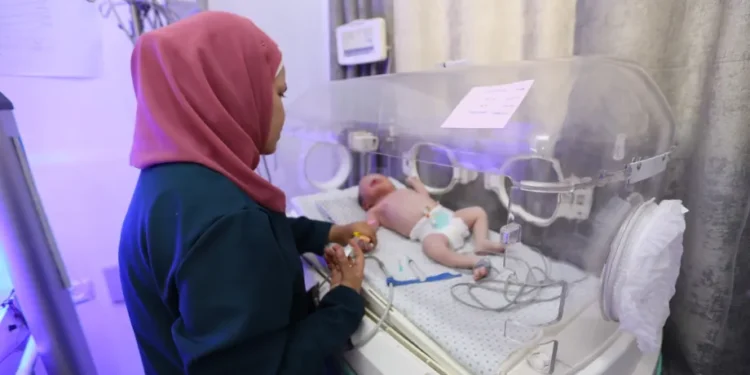غزہ میں ہزاروں نوزائیدہ خطرے میں، ہر لمحہ قیمتی ہے: یونیسف