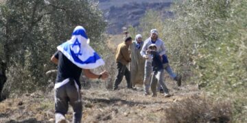 صہیونی آبادکاروں کا کفرالدیک پر حملہ، پھل دار باغات تباہ