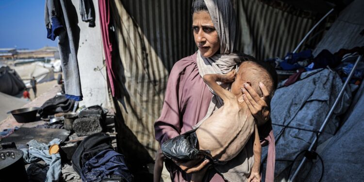 ایمنسٹی: قابض اسرائیل غزہ میں قحط زدہ فلسطینیوں کو جان بوجھ کر شہید کر رہا ہے