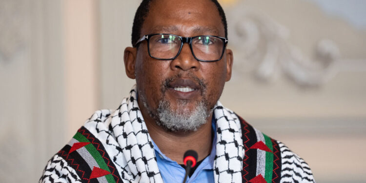 نیلسن منڈیلا کے پوتے کی صمود فلوٹیلا میں شمولیت