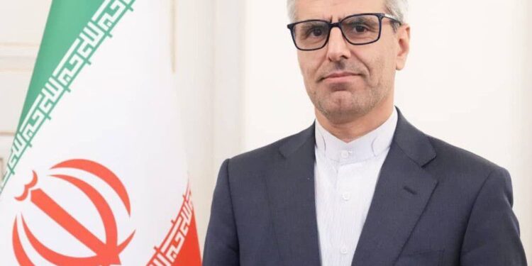 غزہ جنگ بندی کی خلاف ورزیاں، امدادی ٹرکوں کی آمد نصف