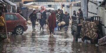 عالمی برادری کی اپیل، فلسطین میں ایٹمی ایجنسی کا فوری کردار لازم