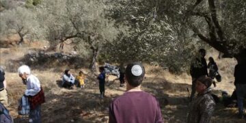 اقوام متحدہ: اکتوبر میں مغربی کنارے میں 264 صہیونی حملے