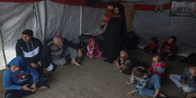 غزہ کی ماں حاجہ رضا، پانچ بیٹے شہید، 36 یتیم بچوں کی واحد کفیلہ