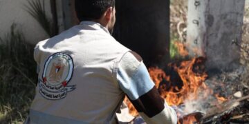 غزہ: الزیتون سے اسلحہ اور منشیات کی بڑی مقدار برآمد