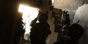 غزہ: جنگ بندی کی اپیل کرنے والے اسرائیلی افسر کی خودکشی