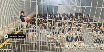 تشدد کے سائے میں زندگیاں — موت کی آرزو میں مبتلا شہری