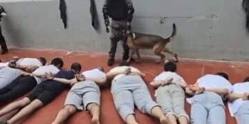 اسرائیلی جیلوں میں فلسطینی اسیران پر نئی وحشیانہ کارروائیاں