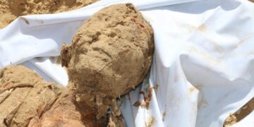 غزہ کے شہداء کے جسدِ خاکی کی بے حرمتی، زندگی ہی نہیں، موت کی حرمت بھی پامال