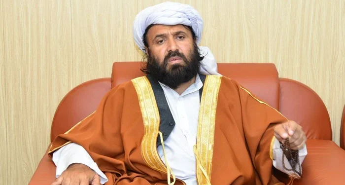 فلسطین میں امن فورس کا تصور، مزاحمت ختم کرنے کی خطرناک چال ہے، امیرجمیعت علما اسلام نظریاتی پاکستان