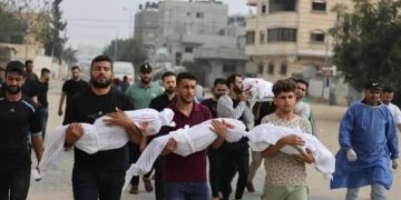 بیلجیم نے غزہ میں نسل کشی کے خلاف جنوبی افریقہ کی درخواست میں شمولیت کا اعلان کر دیا