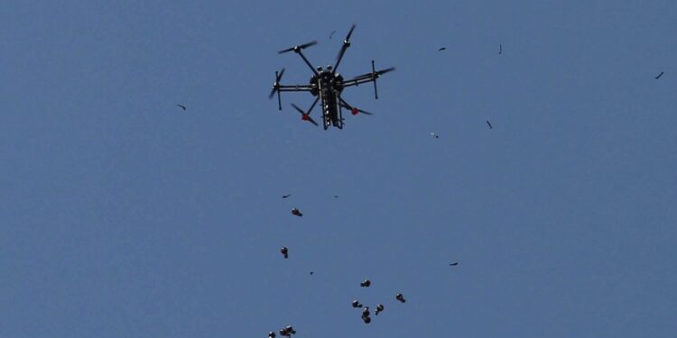 غزہ: التفاح محلے میں اسرائیلی فائرنگ سے خاتون شہید