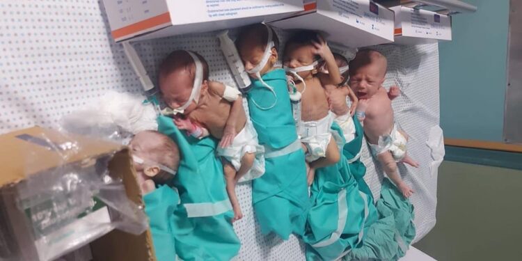 انسانی بحران کی شدت، غزہ میں تولیدی صحت متاثر