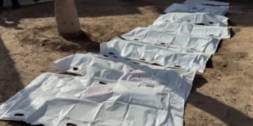 الشفاء ہسپتال سے 98 شہداء کی لاشیں برآمد