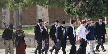 فول پروف سکیورٹی میں درجنوں یہودی شرپسندوں کا مسجد اقصیٰ پر دھاوا