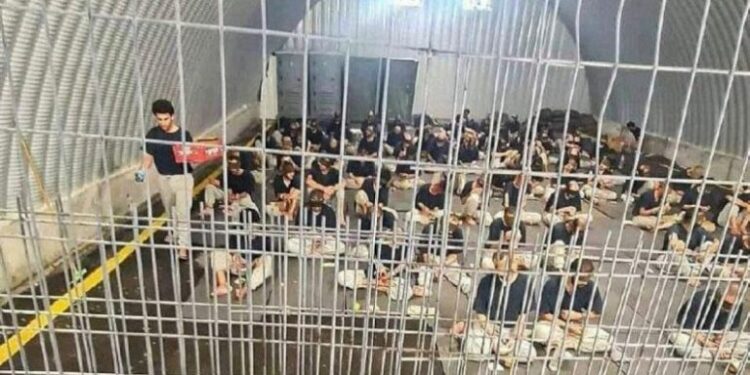 فلسطینی اسیران کو کتوں کی خوراک کھلائے جانے کا ہولناک انکشاف