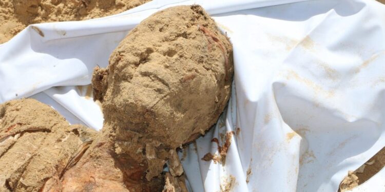 اسرائیلی اعداد و شمار مشکوک، عالمی تحقیقات کا مطالبہ: منیر البرش