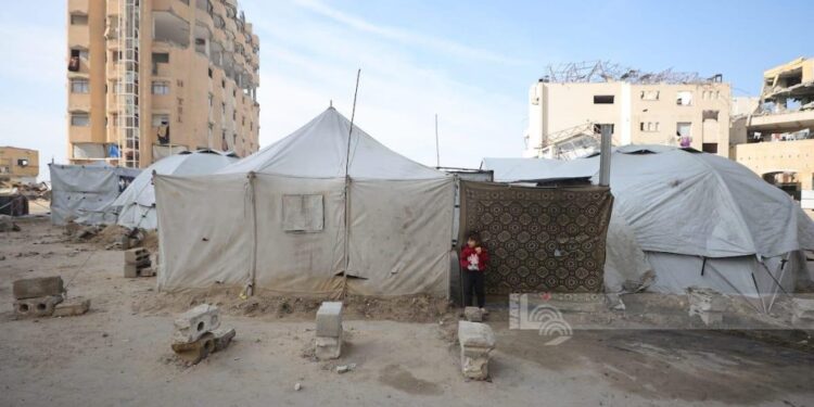 غزہ میں اسرائیلی حملوں کے نتیجے میں شہادتیں 71,391 تک پہنچ گئیں