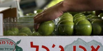 بین الاقوامی پابندیوں نے اسرائیلی زرعی صنعت پر تباہ کن اثر ڈال دیا