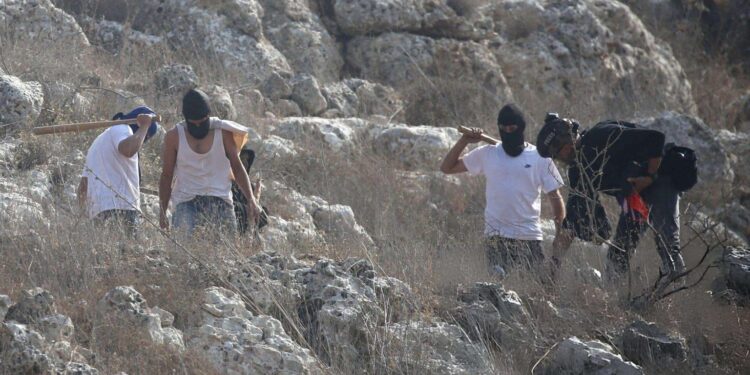 نابلس میں فلسطینی زمین پر یہودی آبادکاروں کا قبضہ