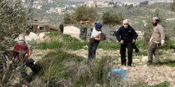 قابض یہودی آبادکاروں نے فلسطینی زمین سے  500 درخت اُکھاڑ دیے