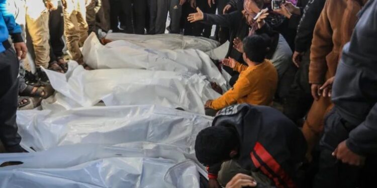 نسل کشی اور بمباری سے غزہ کی آبادی میں 10 فیصد سے زائد کمی