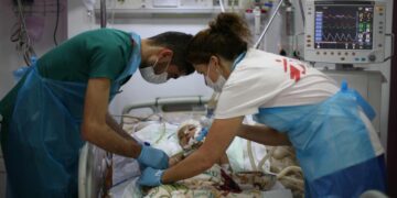 ڈاکٹروں کی بندش غزہ میں تباہی کی نشانی ہے، ڈاکٹرز ود آؤٹ بارڈر