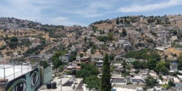 البستان کے مکینوں کے لیے عالمی، عرب اور اسلامی سطح پر مہم کی ضرورت