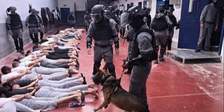 فلسطینی قیدیوں کی تذلیل جاری: عالمی برادری خاموش