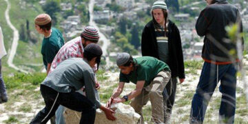 تقوع میں آبادکاروں کی یلغار، تین فلسطینی زخمی