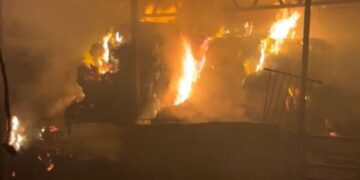 مغربی کنارے میں آبادکاروں کے حملوں میں خطرناک اضافہ، 8691 واقعات ریکارڈ