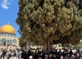 مسجد اقصیٰ کو یہودیانے کی سازشیں جاری، القدس انٹرنیشنل کا انتباہ
