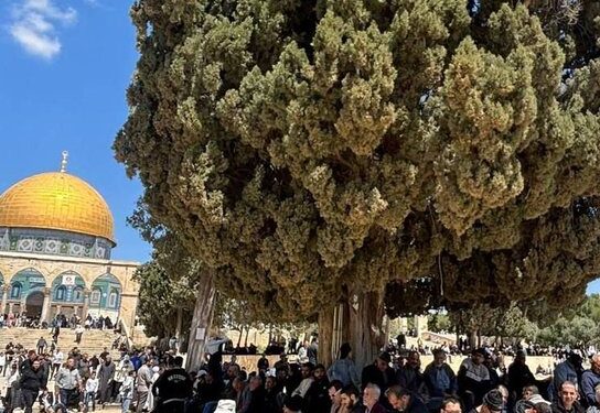 مسجد اقصیٰ کو یہودیانے کی سازشیں جاری، القدس انٹرنیشنل کا انتباہ