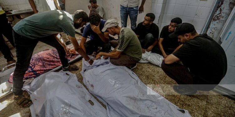 غزہ: 24 گھنٹوں میں 7 فلسطینی شہید، 18 زخمی اسپتال منتقل