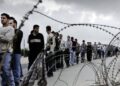 سنہ 2025 میں 74 فلسطینی مزدوروں کی شہادتیں رپورٹ ہوئیں