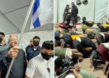 گلوبل صمود فلوٹیلا کارکنان پر مظالم فلسطینیوں کی روزمرہ حقیقت کا عکس: ایمنسٹی انٹرنیشنل