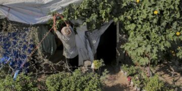 یلو لائن منصوبہ غزہ کی معیشت کو تباہی کی طرف دھکیلنے لگا
