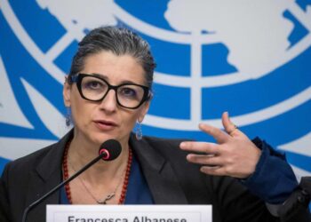 اسرائیل فلسطین کو اپنی تجربہ گاہ کے طور پر استعمال کر رہا ہے، فرانسسکا البانیز