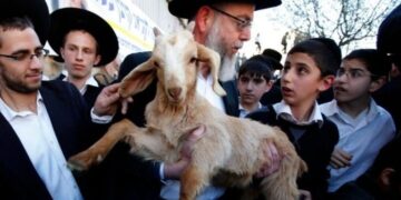 مسجد اقصیٰ میں قربانی کے جانور لانے کی آٹھ کوششیں ناکام، عوامی رباط کی اپیل